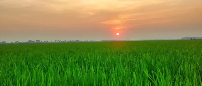 adat padam view point