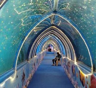 agra fish world mela