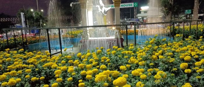annamayya circle