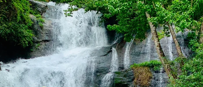 areekkal waterfalls