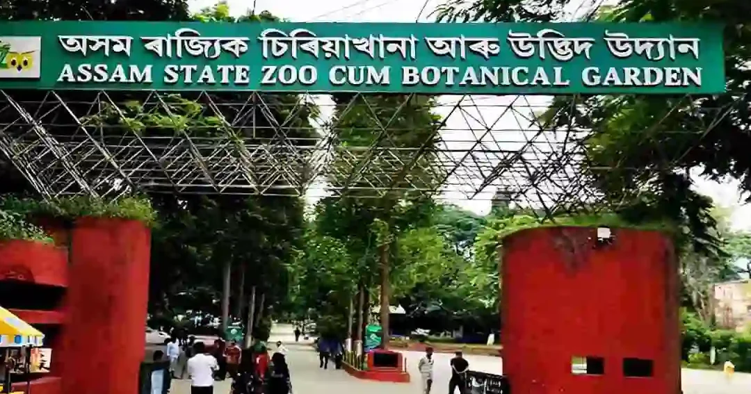 assam state zoo cum botanical garden