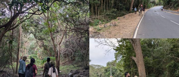 azhagar kovil reserve forest