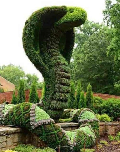barmasia park