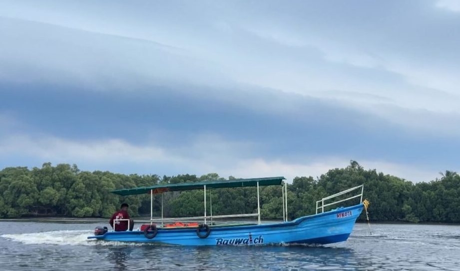 bay watch adventure boating