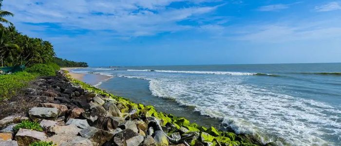 beach view point kizhunna