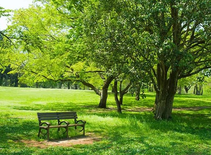 bhadrakali temple park