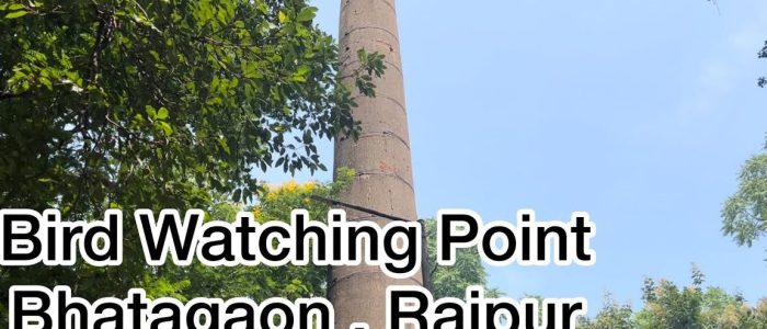 bhatagaon bird watching point