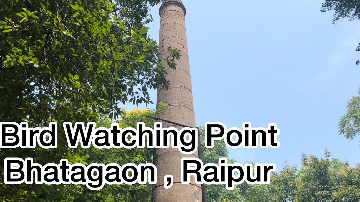 bhatagaon bird watching point