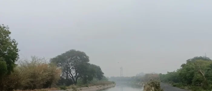 birds bridge on canal sunrise point 1