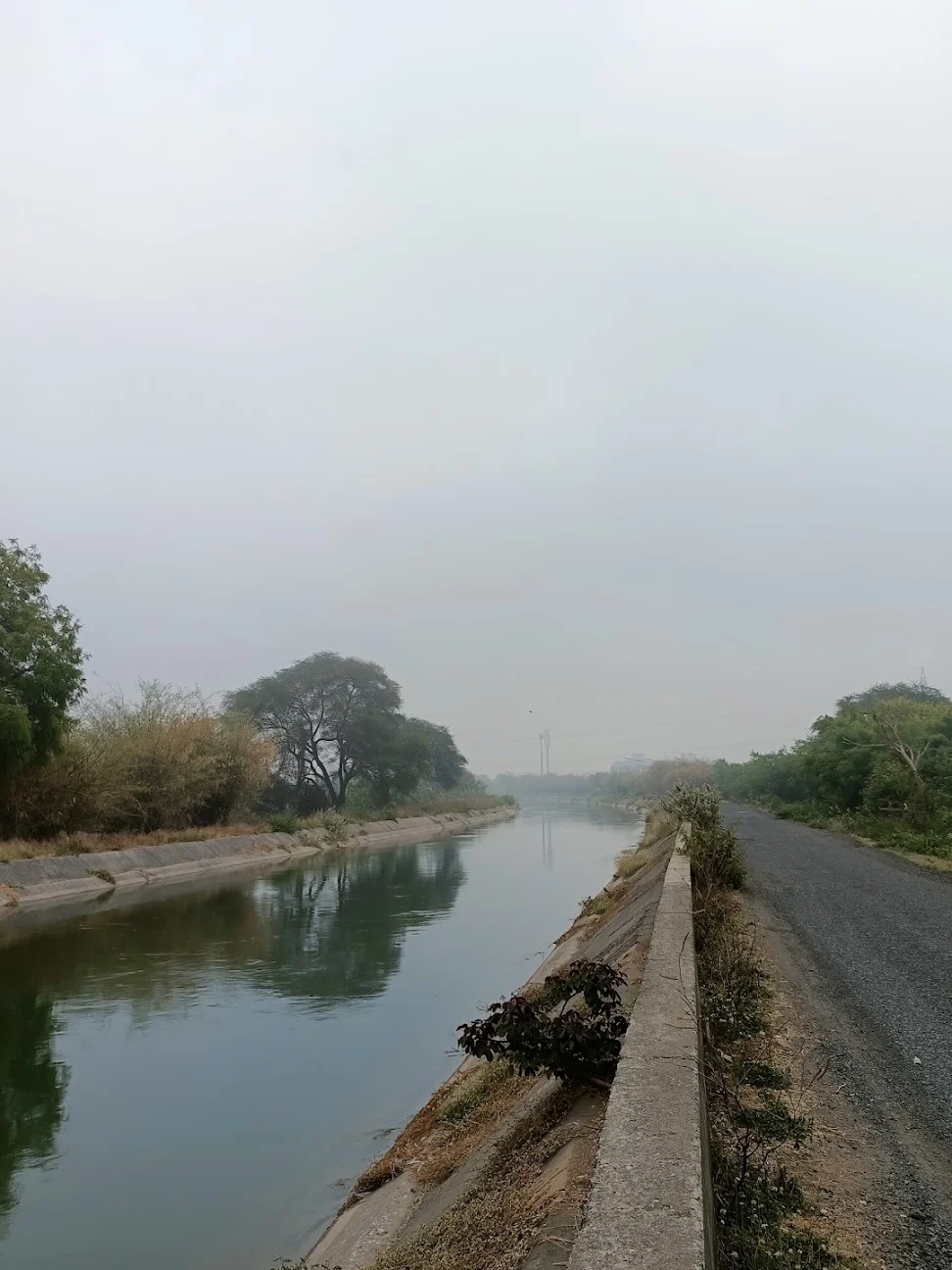 birds bridge on canal sunrise point 1
