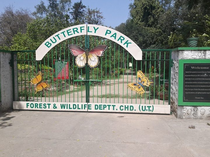 butterfly park 26 chandigarh