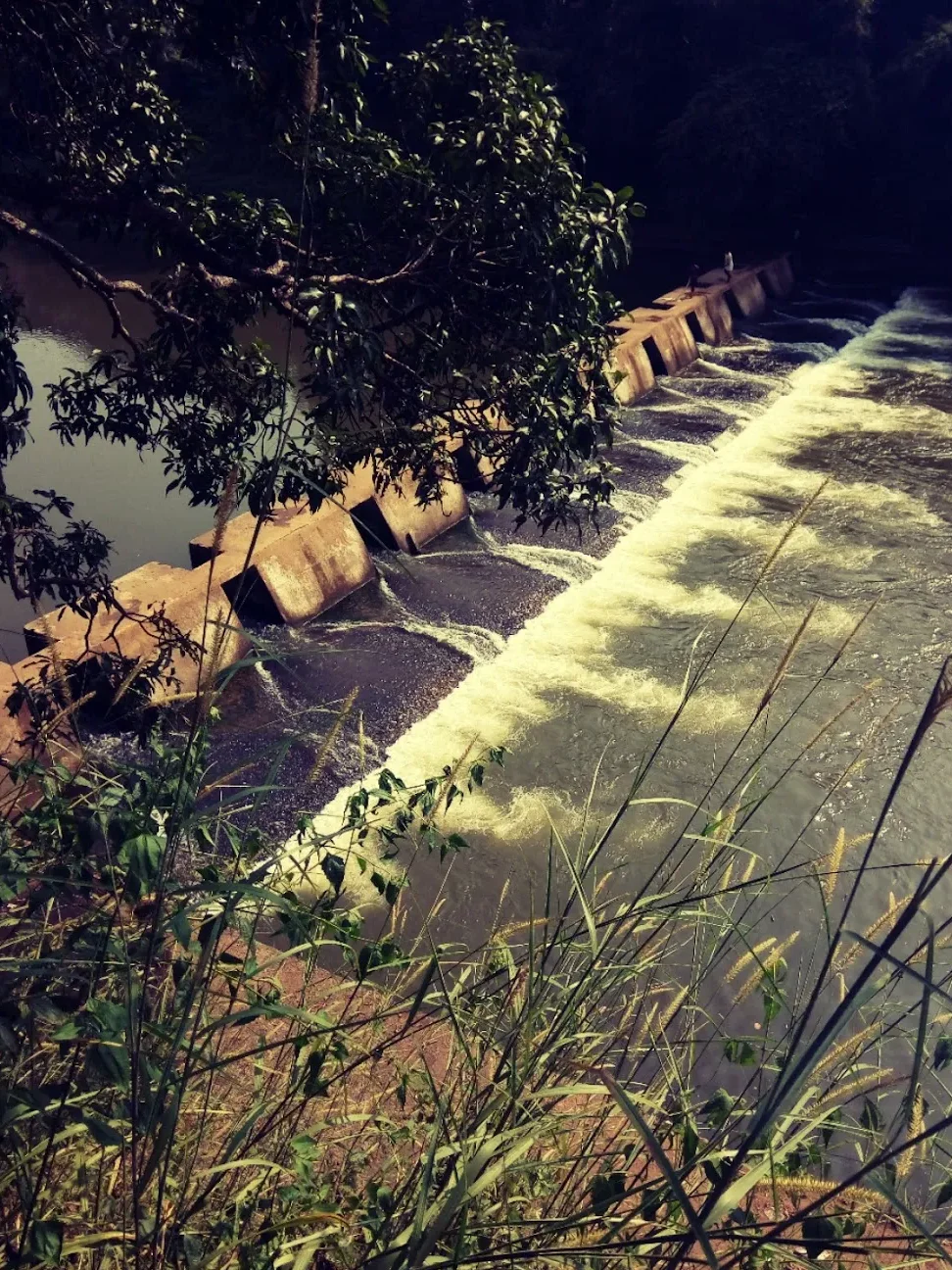 chamakayam check dam