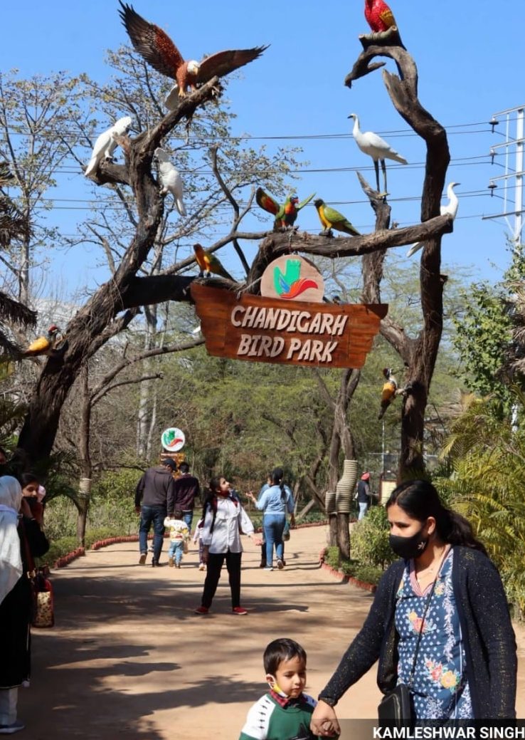 chandigarh bird park
