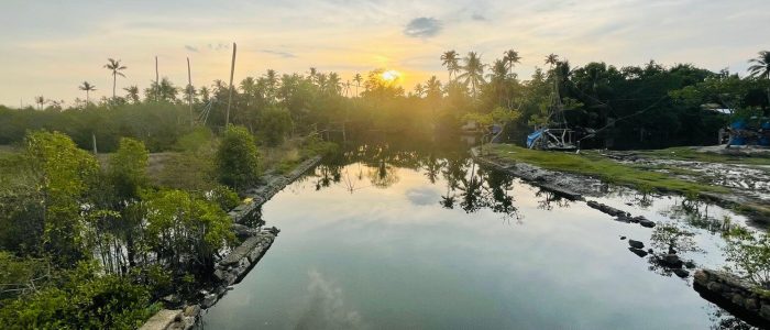 cherthala canal view point