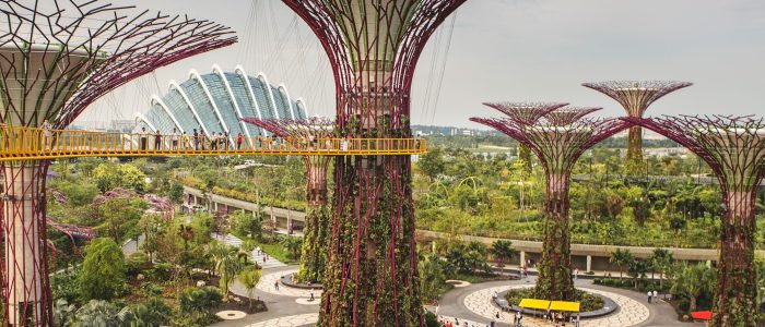 city garden 1
