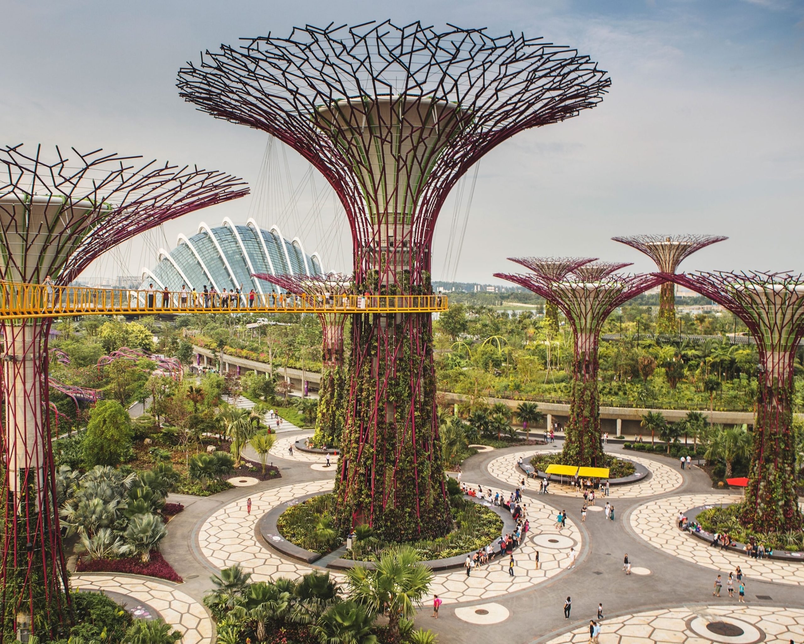 city garden 1 scaled