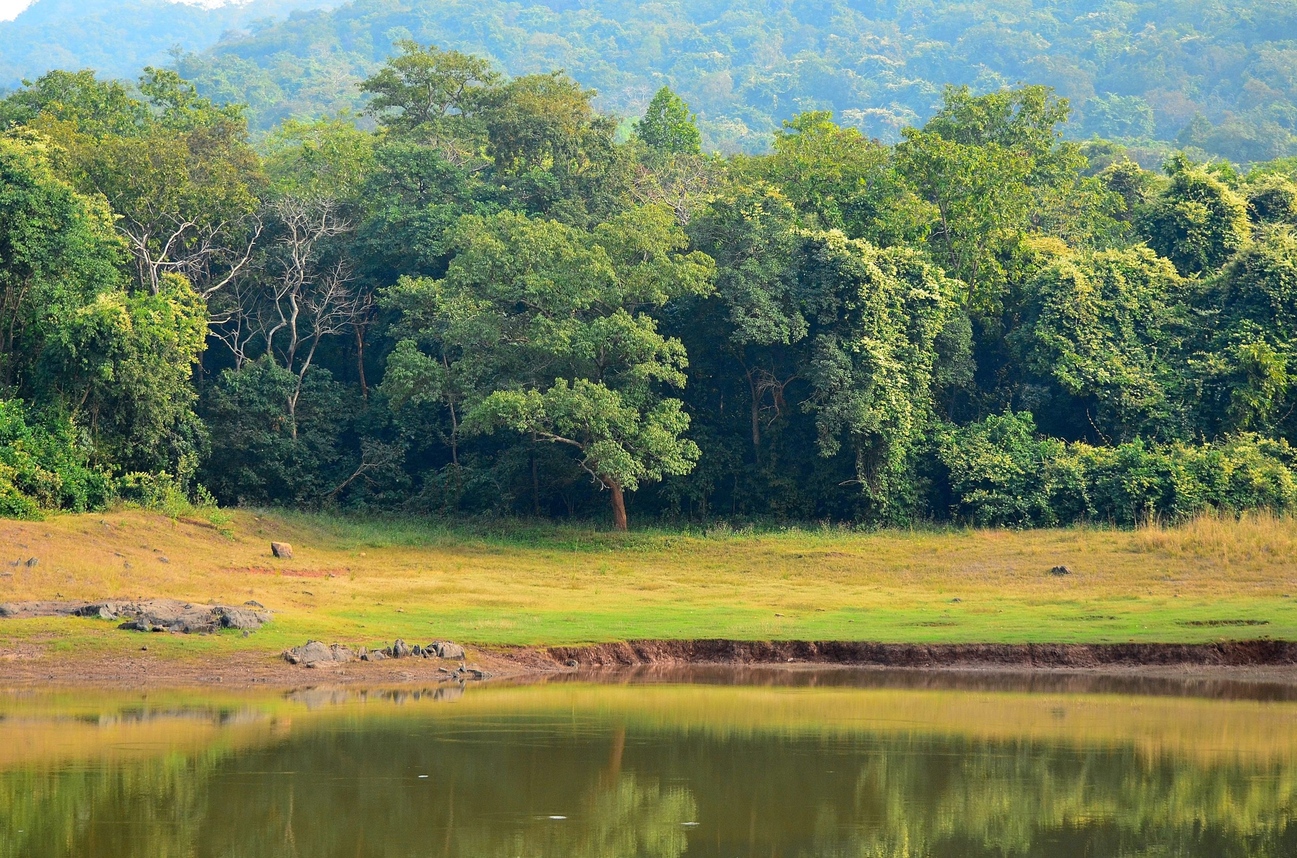 dalma wildlife sanctuary scaled