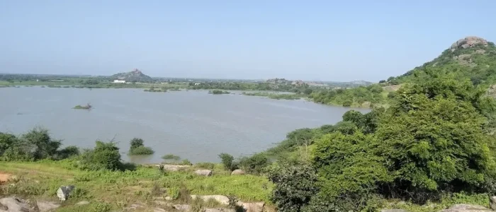 damera cheruvu