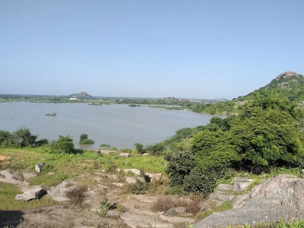damera cheruvu