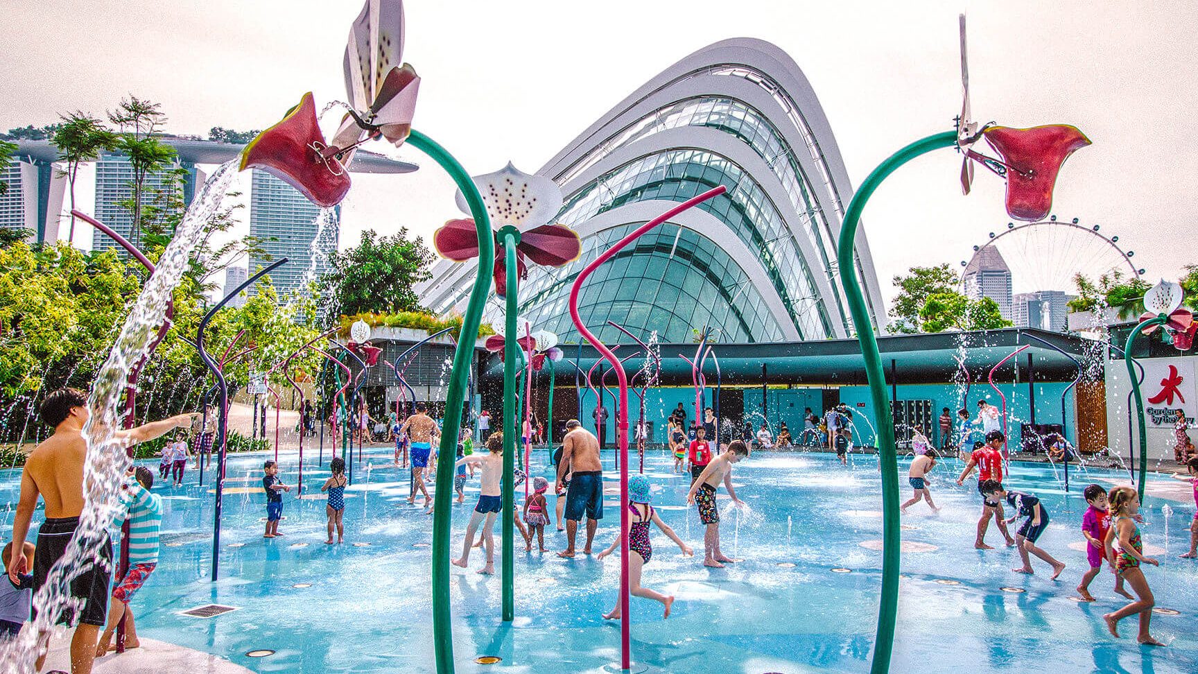 dn childrens park