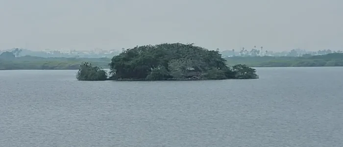 e0aea8e0ae9ee0af8de0ae9ae0aeb0e0aebee0aeafe0aea9e0af8de0ae95e0af81e0aeb3e0aeaee0af8d e0aeaae0aeb1e0aeb5e0af88e0ae95e0aebee0ae9fe0af8d