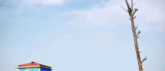 e0b495e0b58be0b4b4e0b4bfe0b495e0b58de0b495e0b58be0b49fe0b58d e0b495e0b49fe0b5bde0b4a4e0b58de0b4a4e0b580e0b4b0e0b482