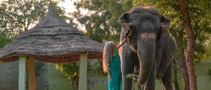 elefunenjoy elephant sanctuary in jaipur