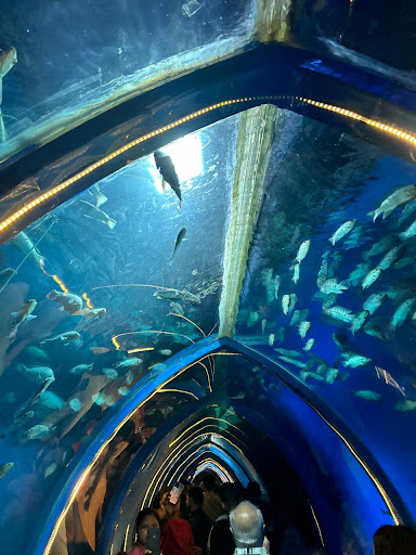 Agra Fish World Mela