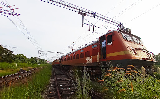 Thalap irattakkannan palam