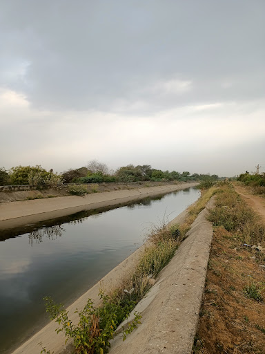 Birds Bridge on Canal (Sunrise Point)