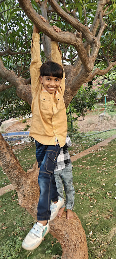 Royal Paradise Square