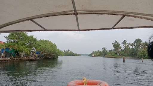 Maryland Mangrove Island