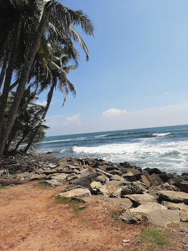 Sunday Stone View Point