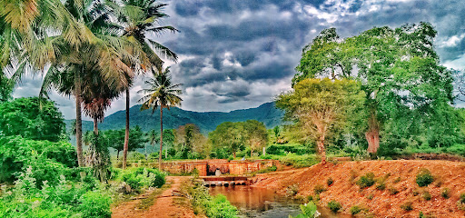 Allanganallur falls