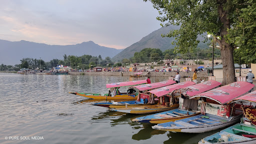 Shah Kashmir Arts Emporium