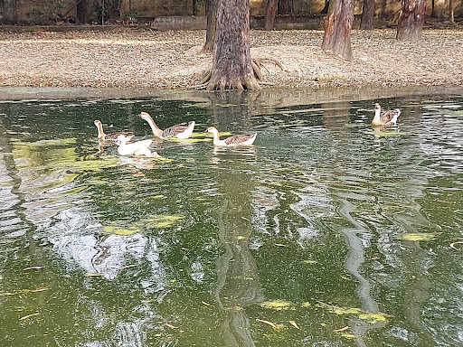 Wildlife Park वन्य प्राणी उद्यान