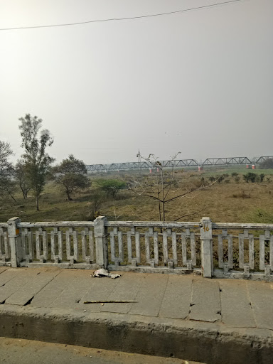 Deer Park