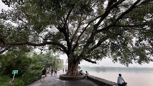 Sukhna Lake Park