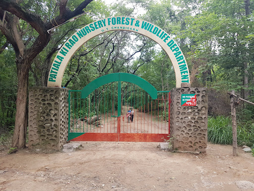 Patiala Ki Rao Reserved Forest