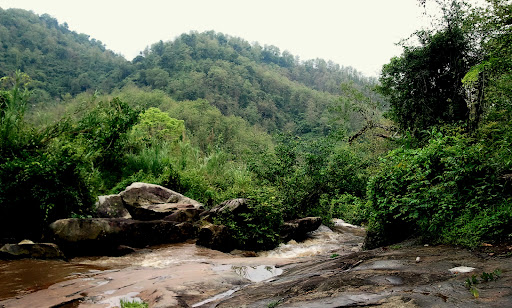 Amchang Wildlife Sanctuary