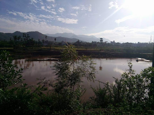 Reddiyur lake