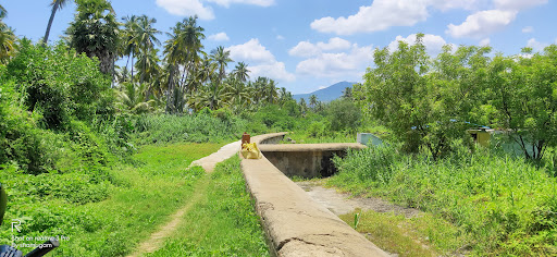 Sengal Anai(Dam)