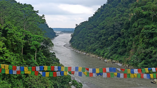 Sevoke Forest