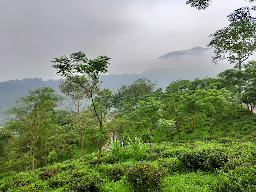 Shivkhola Siliguri View Point