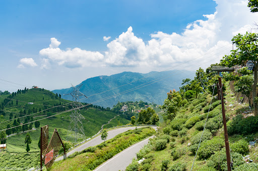Tingling View Point