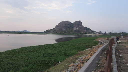 MJP View Point