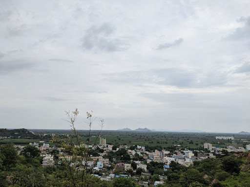 Pedda palakaluru
