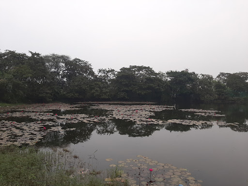 Pimpalas Lake