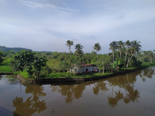 Eerayil Kadavu Viewpoint