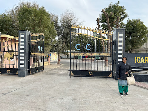 Camel breeding farm, bikaner